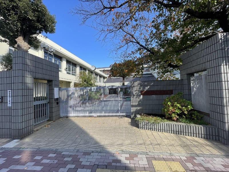 真陽小学校